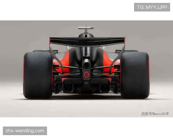 奥迪以厂商车队身份亮相 大众集团资源注入围场新势力